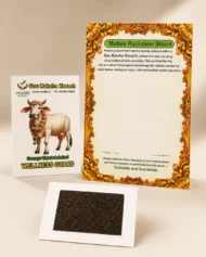 Gau Raksha Chip (Cow dung anti-radiation chip)